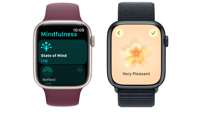 Apple Watch Series 9